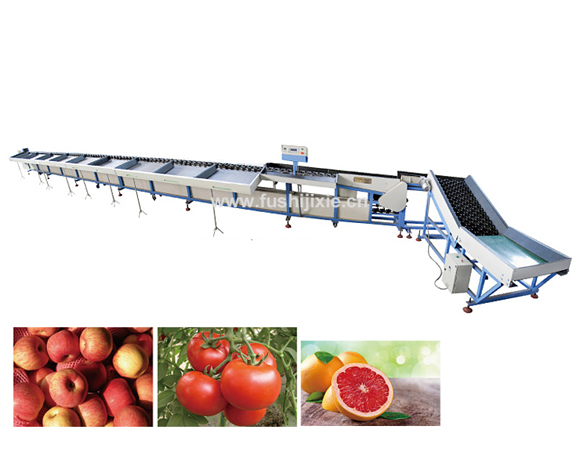  选果机厂家讲述怎样选择合适的水果分选机械？