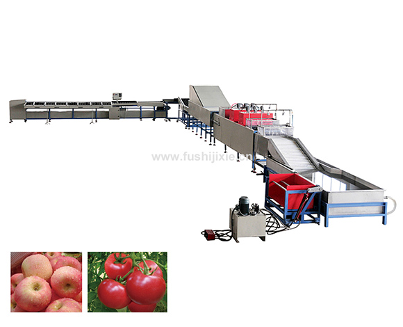 Single Line Electronic Fruit Grading Machine Single Line Electronic Fruit Grading Machine